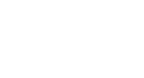 Complete Geonetric logotype with tagline in white