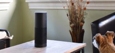 Amazon Echo on table