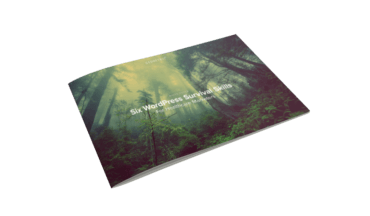 Six WordPress Survival Skills For The Healthcare Marketer White Paper Cover