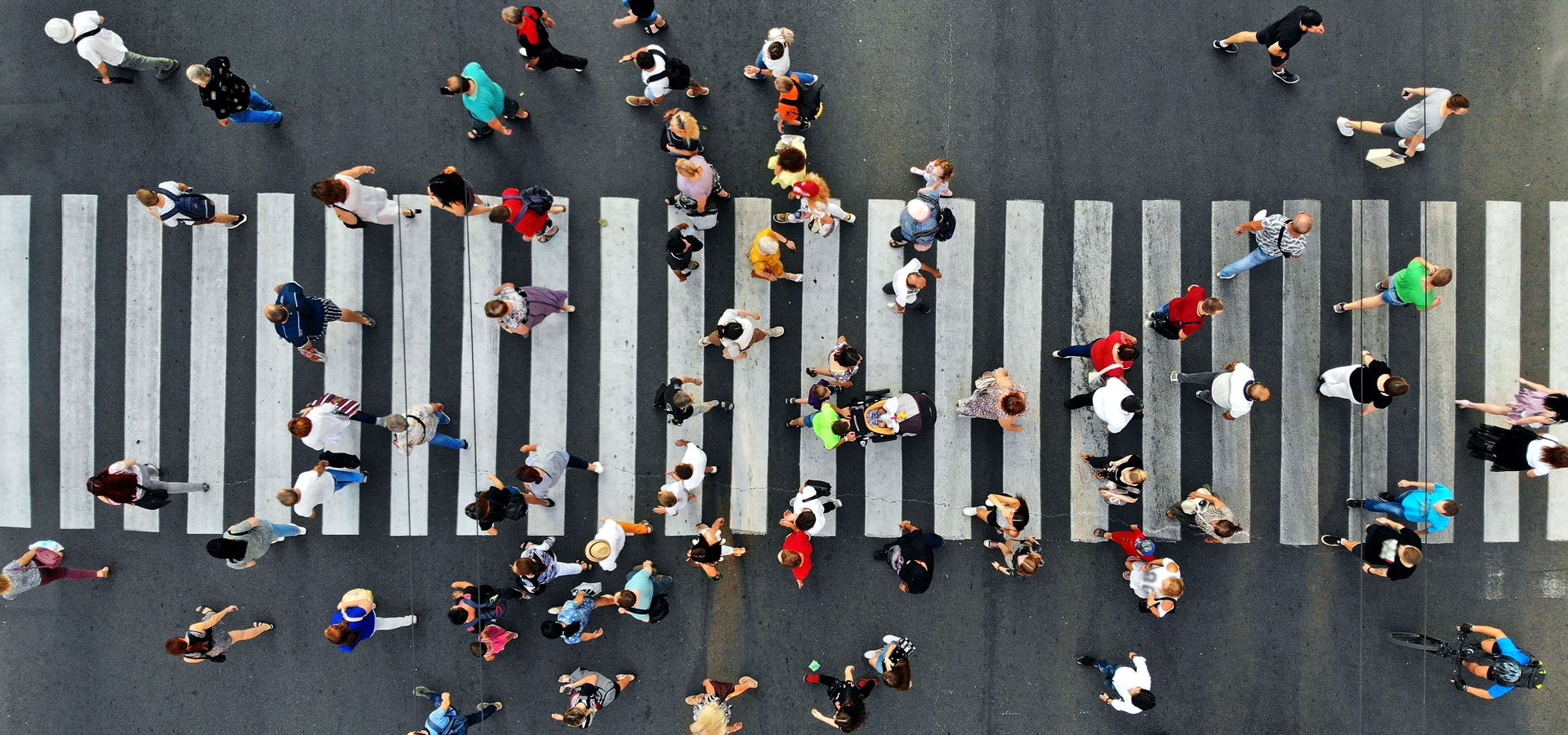 Crowd motion through the pedestrian crosswalk