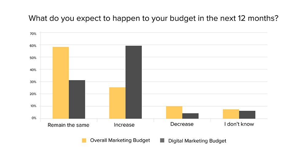 Chart with healthcare digital marketing budget expectations for next 12 months