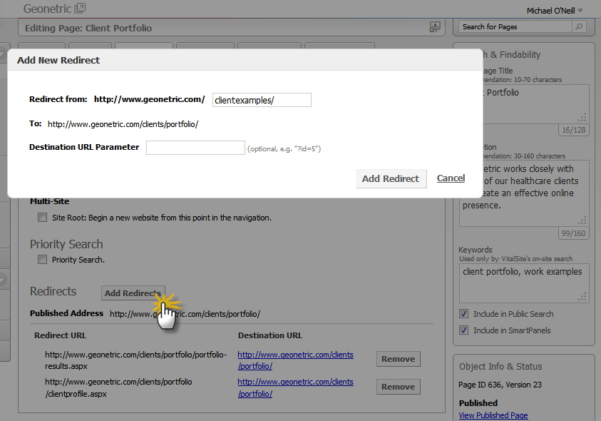 Screenshot of VitalSite's Redirect Manager